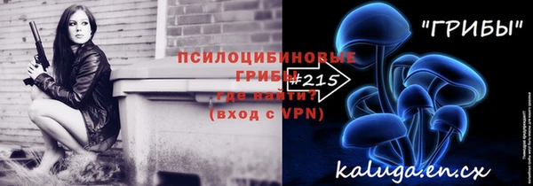сатива Краснослободск