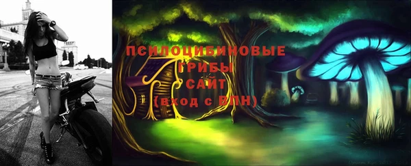 крисы Коряжма