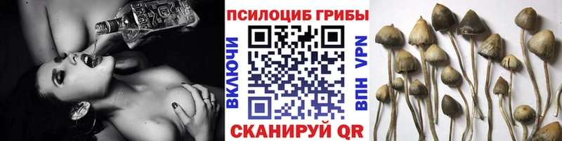 сайты даркнета формула  где купить наркоту  Сурск  Псилоцибиновые грибы мухоморы  blacksprut как войти 
